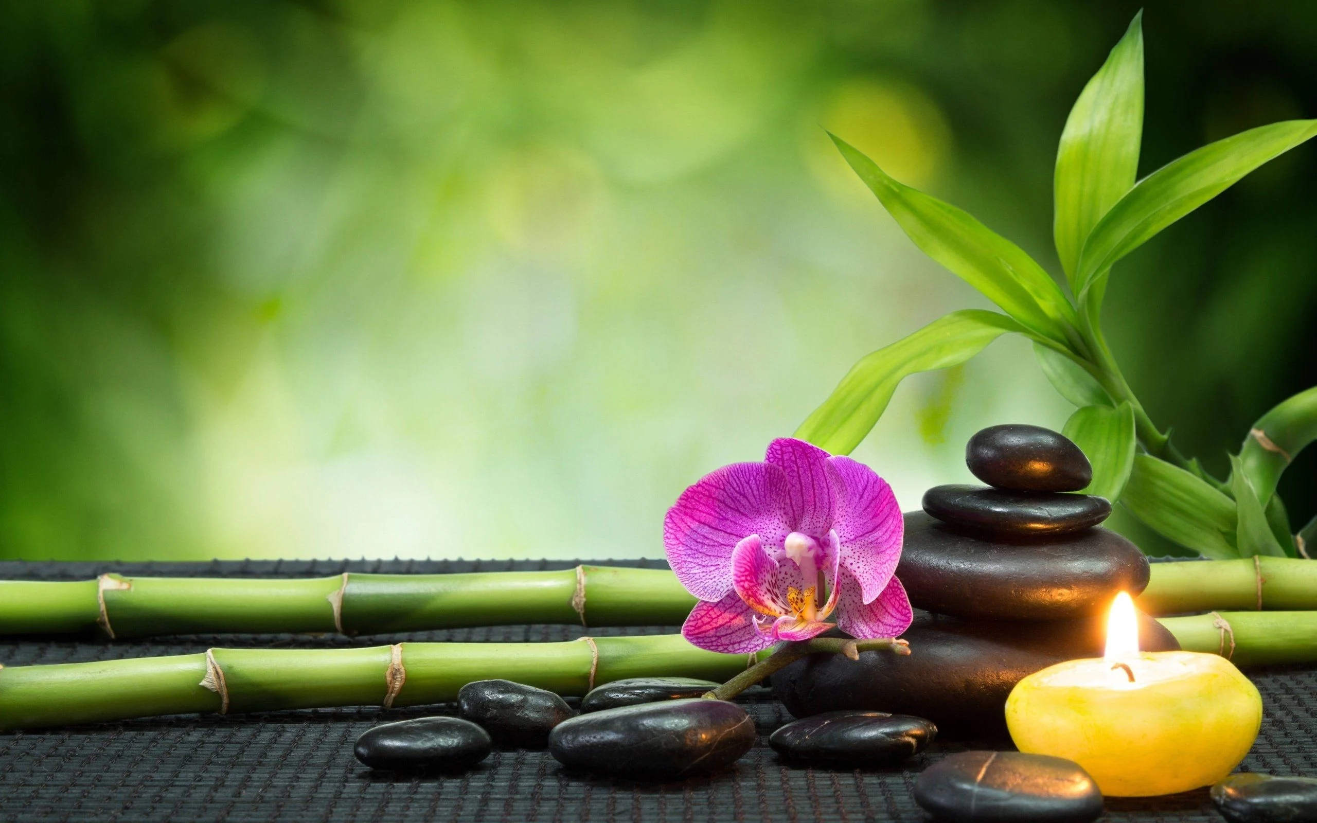 Ayurvedic Medicine